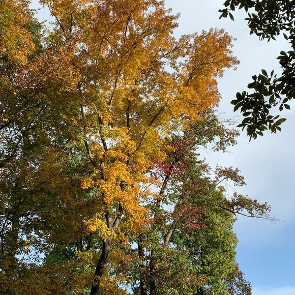 Meet your Posher, Lea - Picture 1 of 1